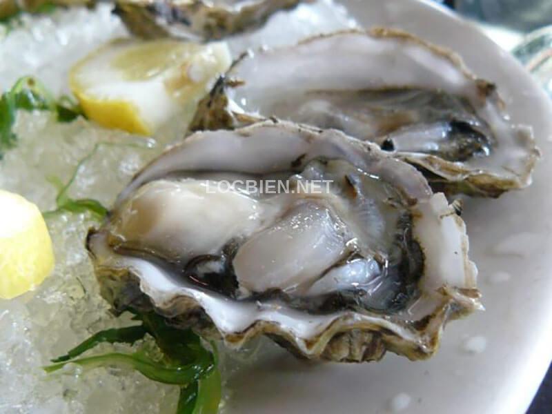 hàu đá